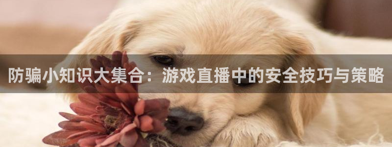 天美娱乐平台注册开户：防骗小知识大集合：游戏直播中的安全技巧