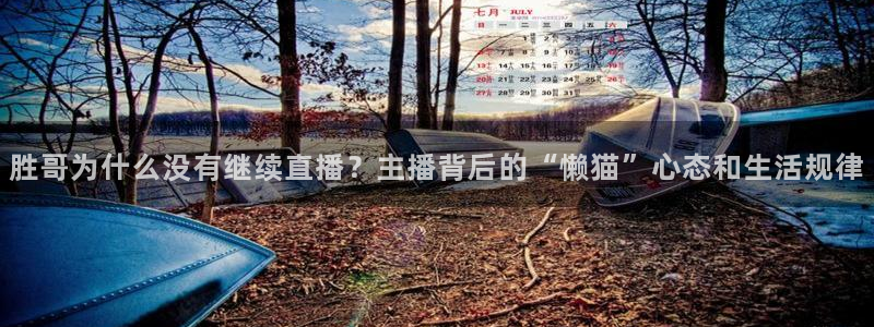 玩球怎么玩：胜哥为什么没有继续直播？主播背后的“懒猫”心态和生活规律