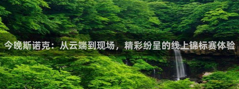 下载玩球直播：今晚斯诺克：从云端到现场，精彩纷呈的线上锦标赛体验